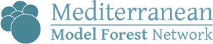 Med_Model_Forest-logo